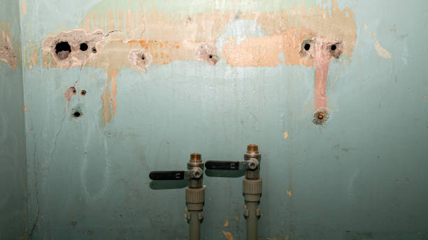 Best Water damage restoration near me  in Elizabethville, PA